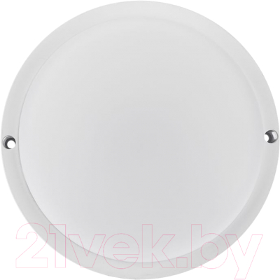 Светильник ЖКХ Rexant 607-202