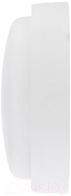 Светильник ЖКХ Rexant 607-202