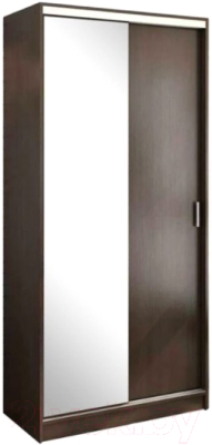 Шкаф-купе Стендмебель Альянс 1.0 (венге) - фото