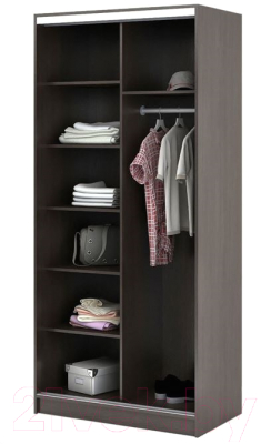 Шкаф-купе Стендмебель Альянс 1.0 (венге)