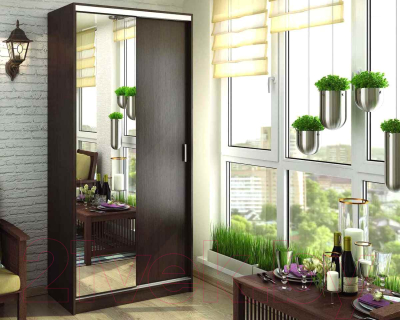 Шкаф-купе Стендмебель Альянс 1.0 (венге)