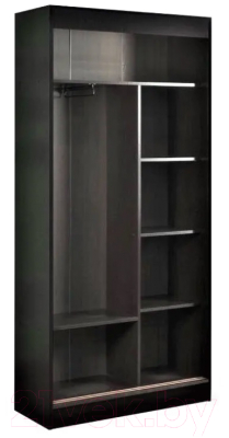 Шкаф-купе Стендмебель Евро (дуб белфорт/венге)