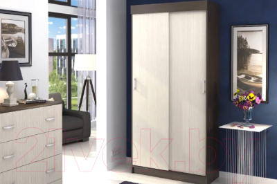 Шкаф-купе Стендмебель Евро (дуб белфорт/венге)