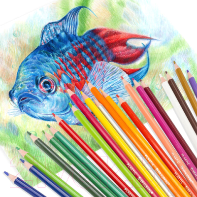 Набор цветных карандашей Brauberg Premium / 181663