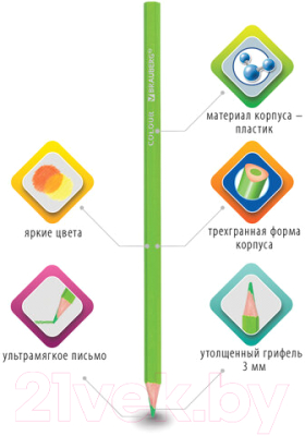 Набор цветных карандашей Brauberg Premium / 181663