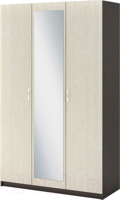 Шкаф Стендмебель Басса ШК-553 - фото