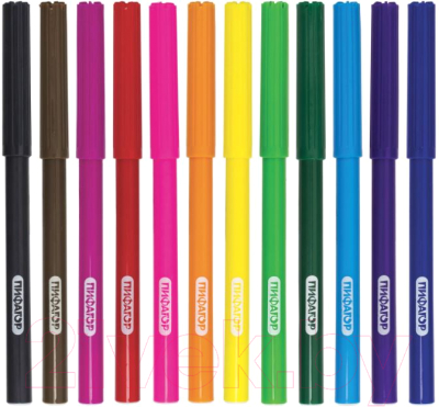 Фломастеры Пифагор Эники-беники / 151401