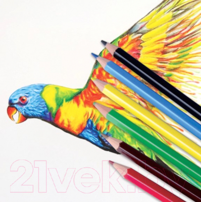 Набор цветных карандашей Пифагор Жираф /181249