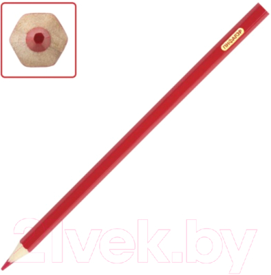 Набор цветных карандашей Пифагор Жираф / 181250