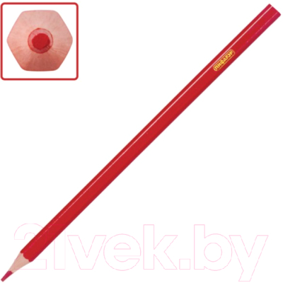 Набор цветных карандашей Пифагор Лесные Жители/ 181334