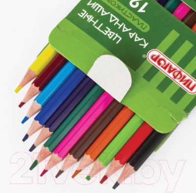 Набор цветных карандашей Пифагор Лесные Жители/ 181334