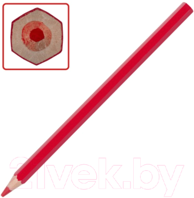 Набор цветных карандашей Пифагор Котик/ 181340