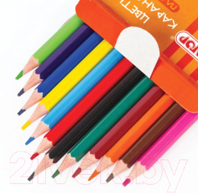 Набор цветных карандашей Пифагор Котик/ 181340