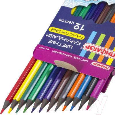 Набор цветных карандашей Пифагор Сказочный Город / 181583