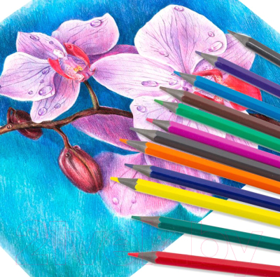 Набор цветных карандашей Пифагор Сказочный Город / 181583