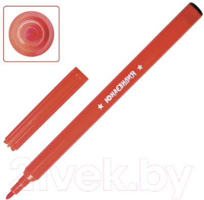 Фломастеры Юнландия Уроки рисования / 151416