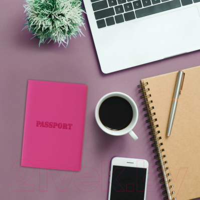 Обложка на паспорт Staff Паспорт / 237605