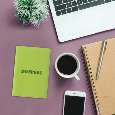 Обложка на паспорт Staff Паспорт / 237607