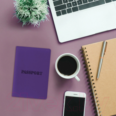 Обложка на паспорт Staff Паспорт / 237608