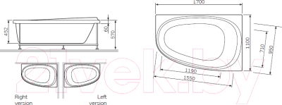 Ванна акриловая AM.PM Like L / W80A-170L110W-A