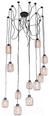 Люстра Evoluce Forto SL193.303.12 - фото