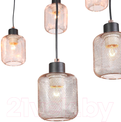 Люстра Evoluce Forto SL193.303.12