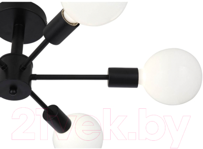 Люстра Evoluce Ano SL419.402.06