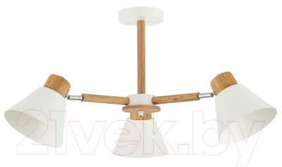 Люстра Evoluce Buve SLE103702-03 - фото