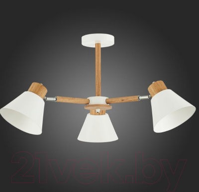 Люстра Evoluce Buve SLE103702-03