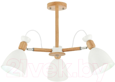 Люстра Evoluce Balcamo SLE103802-03 - фото