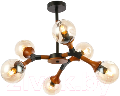 Люстра Evoluce Raquel SLE109402-06 - фото