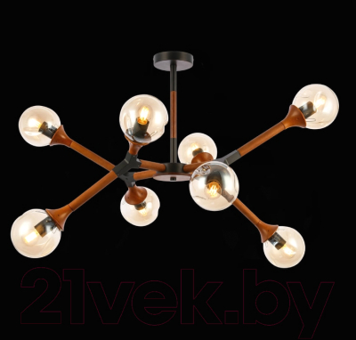 Люстра Evoluce Raquel SLE109402-08