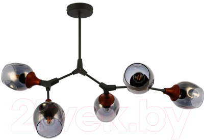 Люстра Evoluce Ciotolla SLE113402-05 - фото