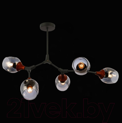 Люстра Evoluce Ciotolla SLE113402-05