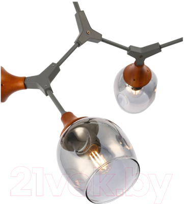 Люстра Evoluce Ciotolla SLE113402-05