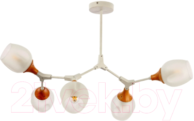 Люстра Evoluce Ciotolla SLE113502-05 - фото