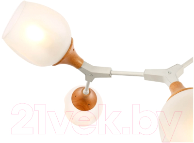 Люстра Evoluce Ciotolla SLE113502-05