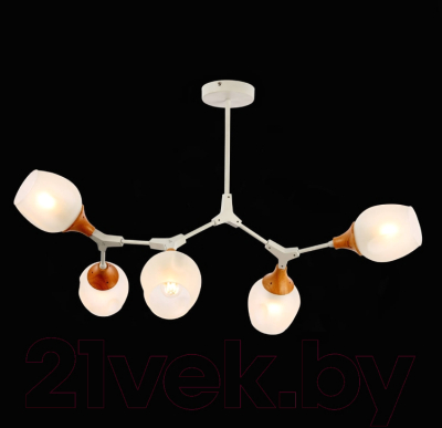 Люстра Evoluce Ciotolla SLE113502-05