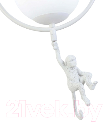 Потолочный светильник Evoluce Tenato SLE115113-01