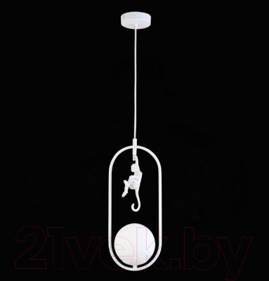 Потолочный светильник Evoluce Tenato SLE115123-01