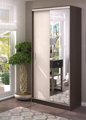 Шкаф-купе Стендмебель Альянс 1.0 (дуб белфорт/венге)