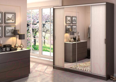Шкаф-купе Стендмебель Альянс 2.0 (дуб белфорт/венге)