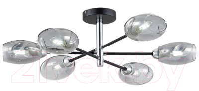 Люстра Evoluce Gloa SLE155512-06 - фото