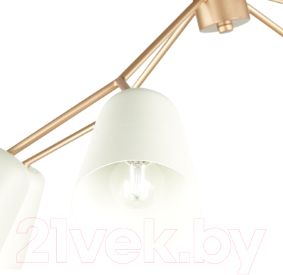 Люстра Evoluce Mario SLE155902-08