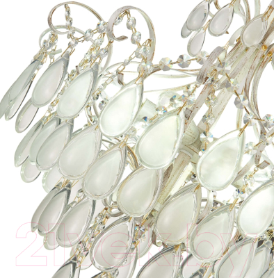 Люстра Evoluce Magonza SLE160302-06