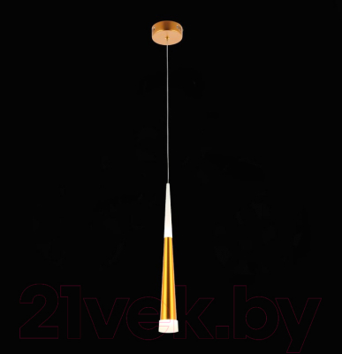 Потолочный светильник Evoluce Orpelo SLE200103-01