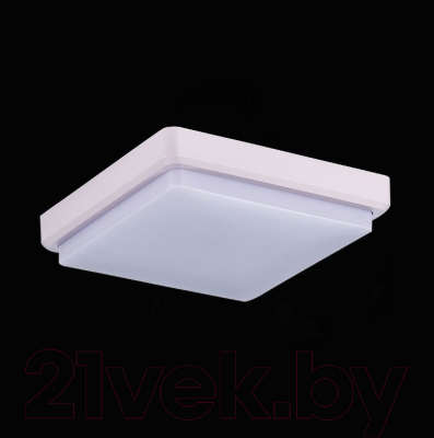 Потолочный светильник Evoluce Taddio SLE200212-01