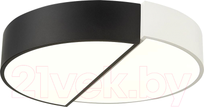 Потолочный светильник Evoluce Meta SLE200642-01 - фото