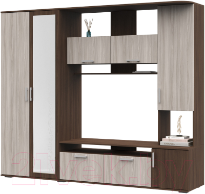 Стенка Стендмебель Софи (ясень шимо светлый/ясень шимо темный) - фото