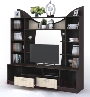 Стенка Стендмебель Ольбия (дуб белфорт/венге)